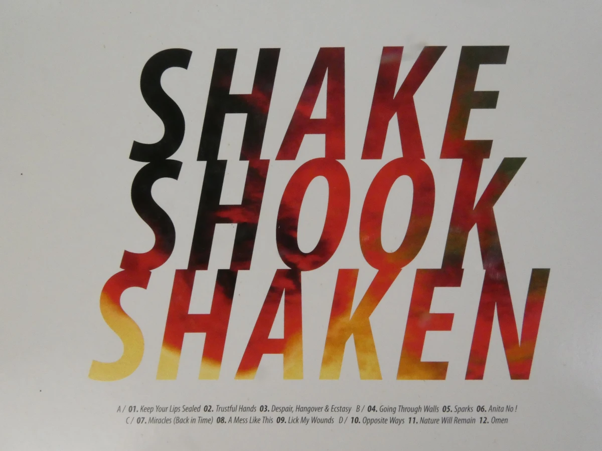 The Dø – Shake Shook Shaken (2014) – Dubbele vinyl LP - foto 8