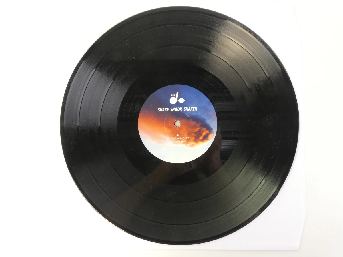 The Dø – Shake Shook Shaken (2014) – Dubbele vinyl LP - foto 11