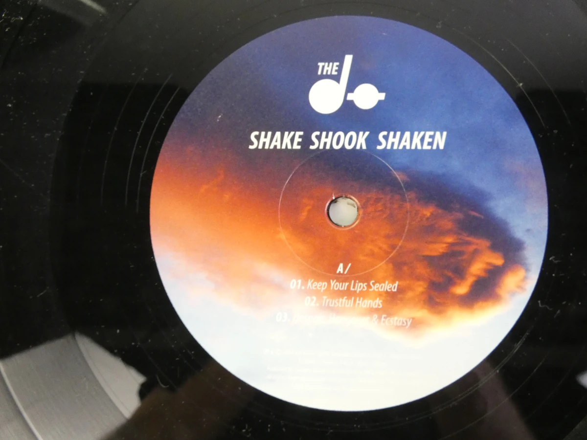 The Dø – Shake Shook Shaken (2014) – Dubbele vinyl LP - foto 12