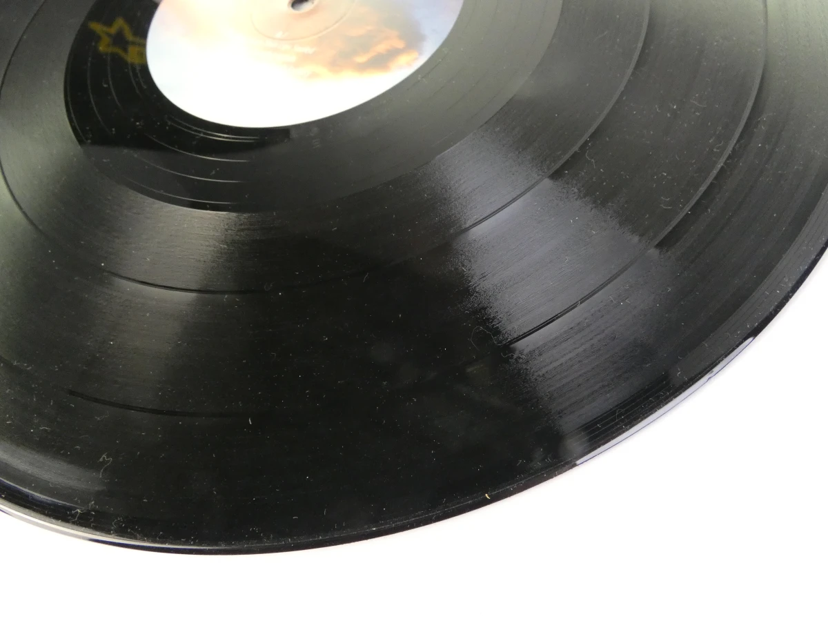 The Dø – Shake Shook Shaken (2014) – Dubbele vinyl LP - foto 13