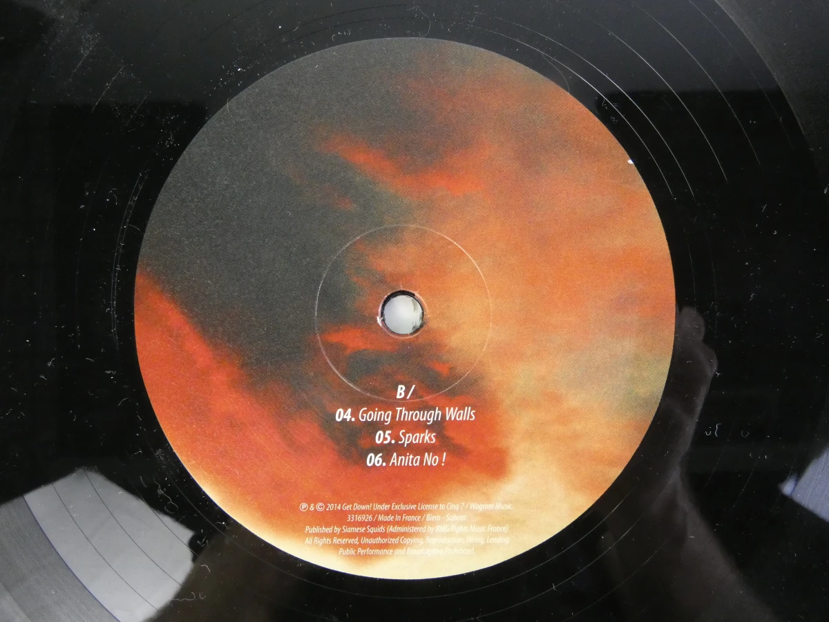 The Dø – Shake Shook Shaken (2014) – Dubbele vinyl LP - foto 14