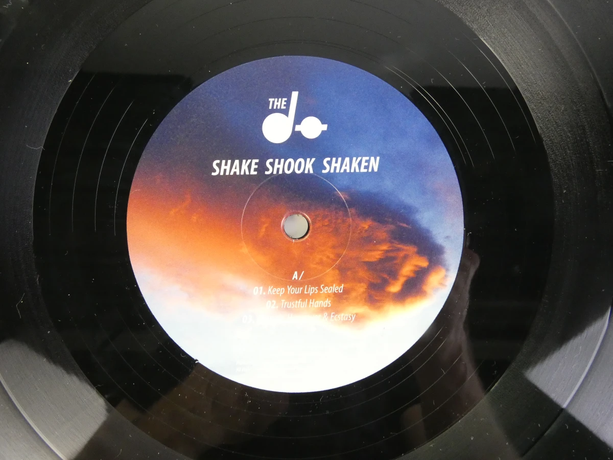 The Dø – Shake Shook Shaken (2014) – Dubbele vinyl LP - foto 15