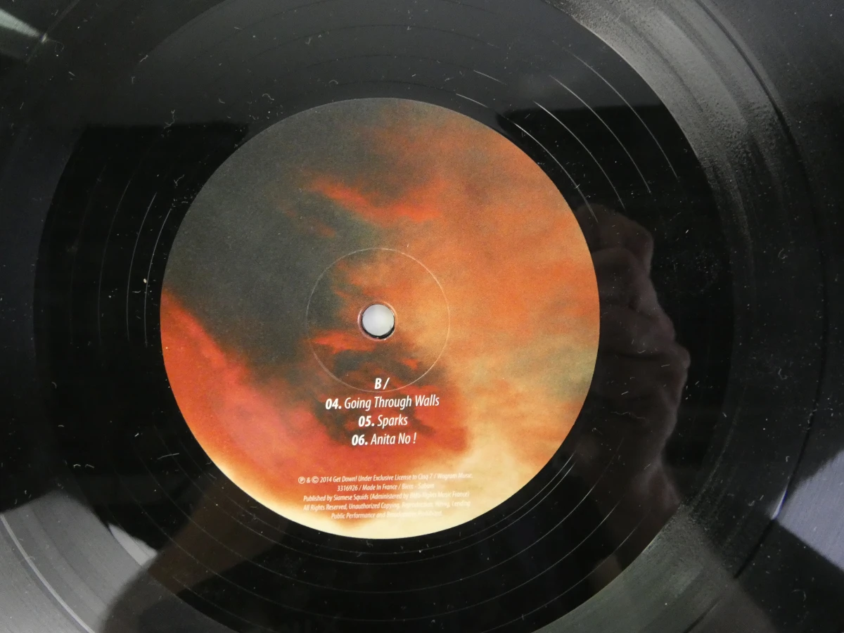 The Dø – Shake Shook Shaken (2014) – Dubbele vinyl LP - foto 16