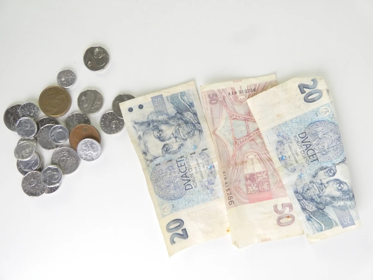 Verzameling oude munten en bankbiljetten uit diverse landen - foto 13