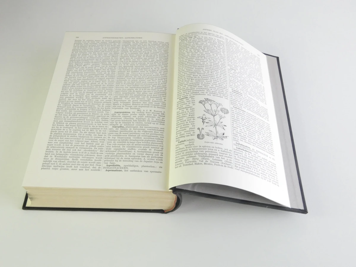 Oosthoek's Encyclopaedie, 17-delige set, vierde druk - foto 10