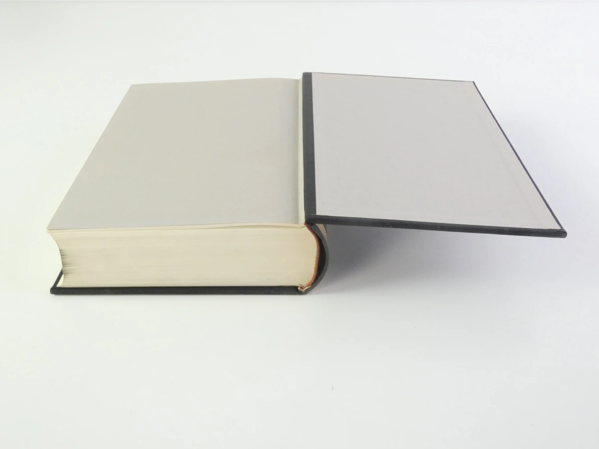 Oosthoek's Encyclopaedie, 17-delige set, vierde druk - foto 22