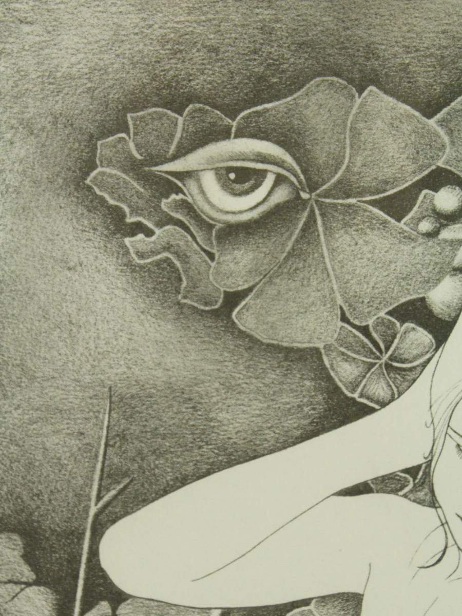 Pierre Dewinter (1935–2013) – Tweeluik litho's vrouwelijke naakt - foto 6