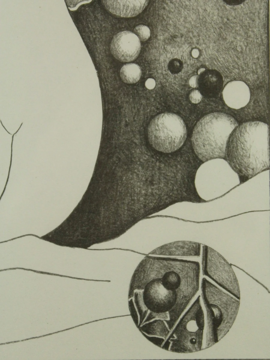 Pierre Dewinter (1935–2013) – Tweeluik litho's vrouwelijke naakt - foto 17