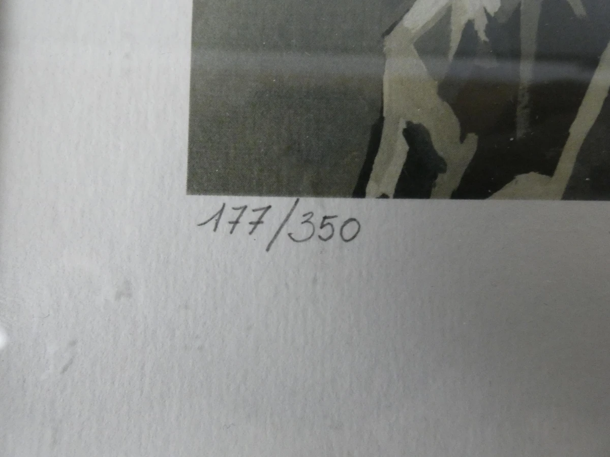 Kunstwerk Maurits Verbist - foto 4