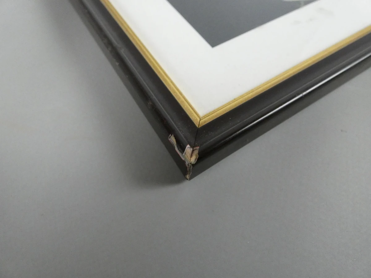 Kunstwerk Maurits Verbist - foto 6