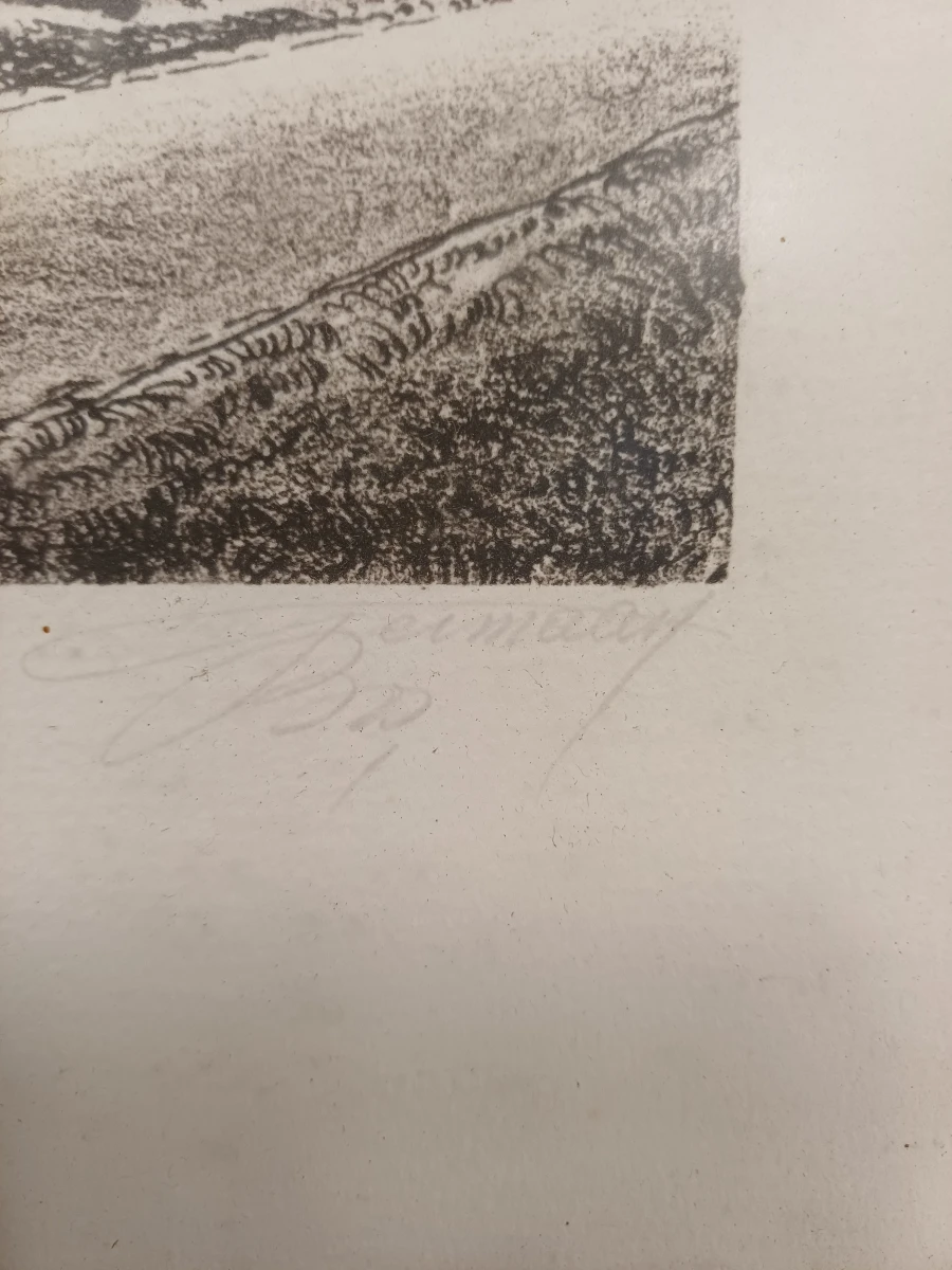 3 ingelijste zwart-wit prenten/etsen Germaan bos - foto 4