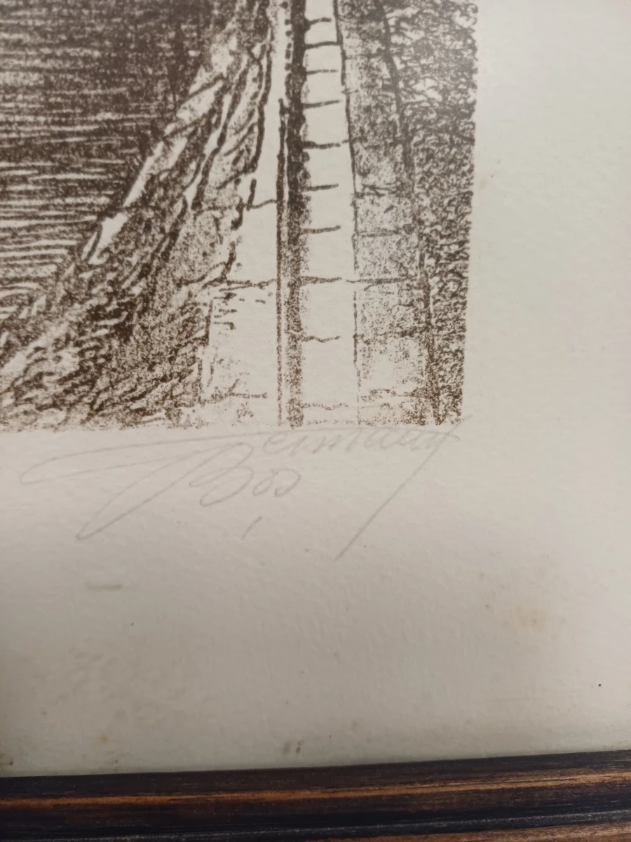 3 ingelijste zwart-wit prenten/etsen Germaan bos - foto 7