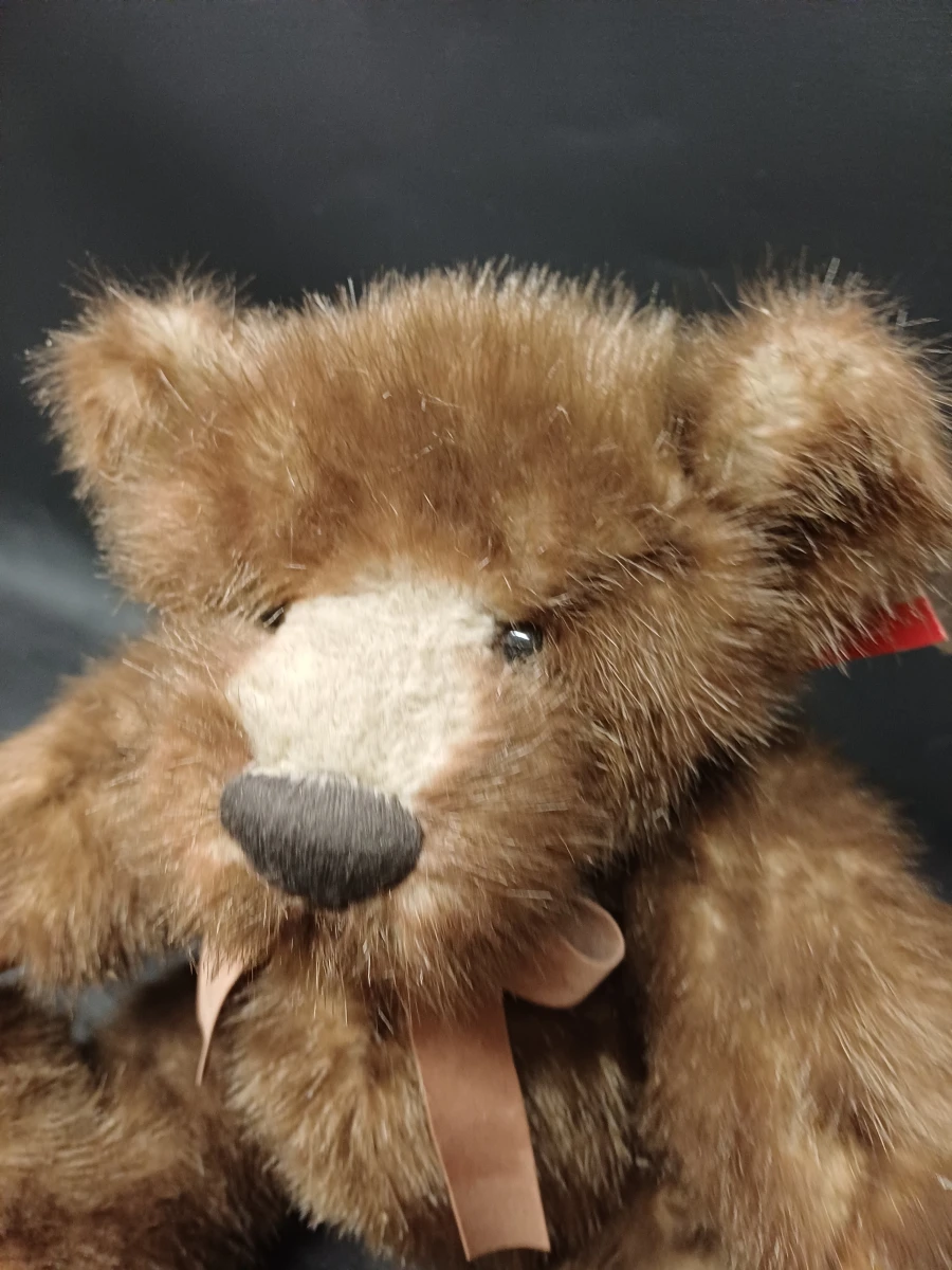 Teddybeer "Ebbets" 10th anniversary - foto 7