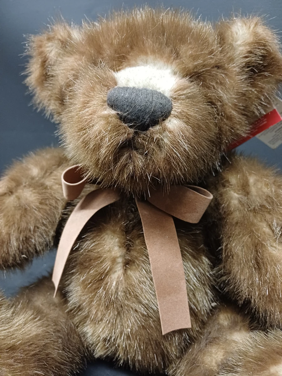 Teddybeer "Ebbets" 10th anniversary - foto 9
