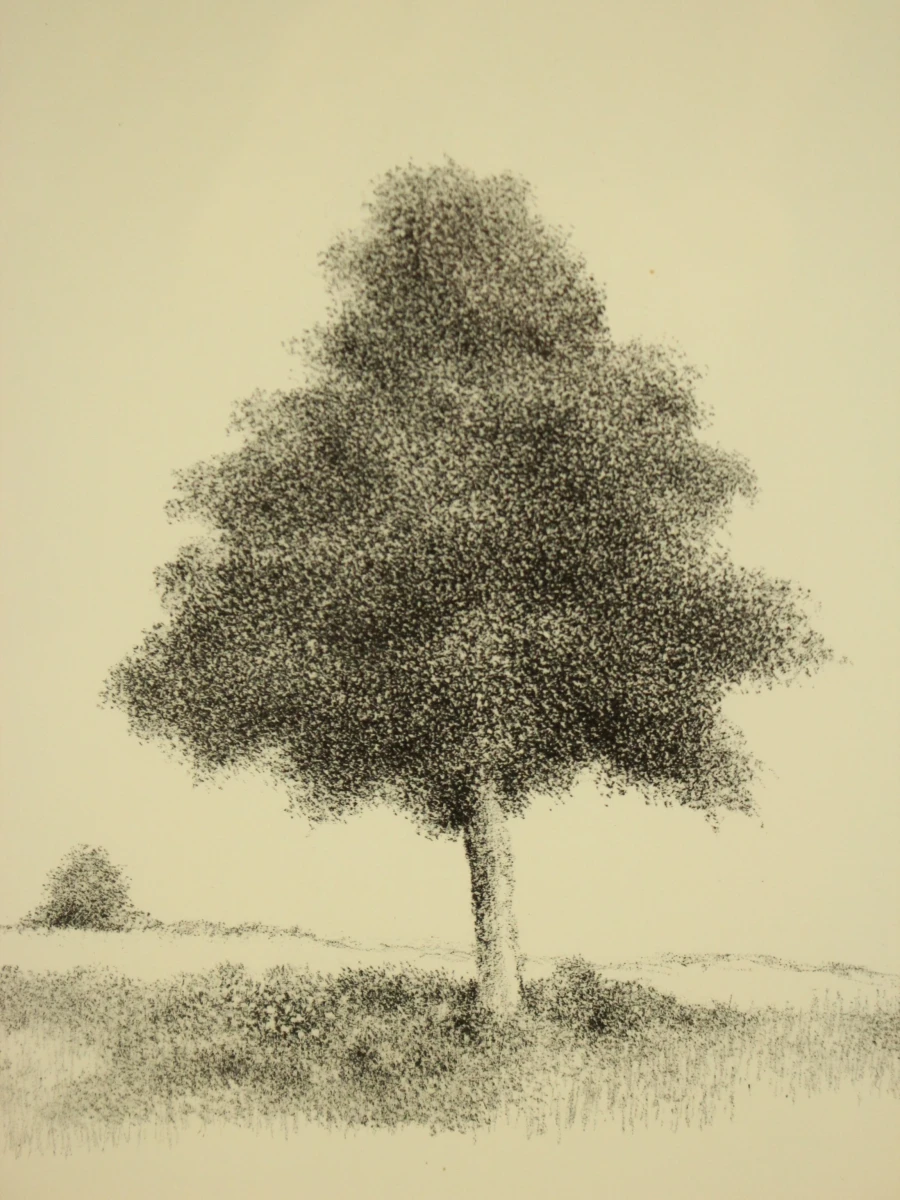 Metten Koornstra (1912–1978) – lithografie, épreuve d'artiste, 1975 - foto 4