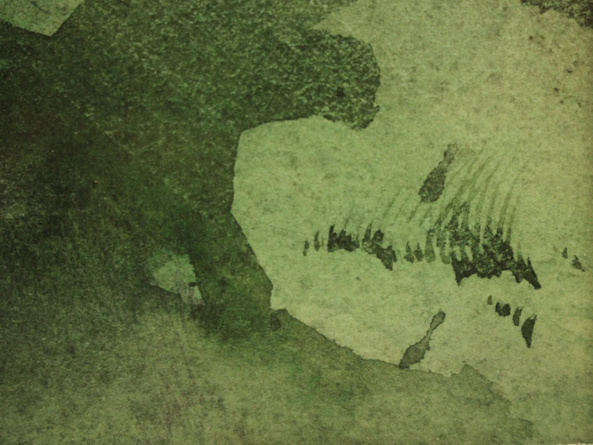 Renaat Veris (1940–2026) aquarel – Zomer '78 - foto 7