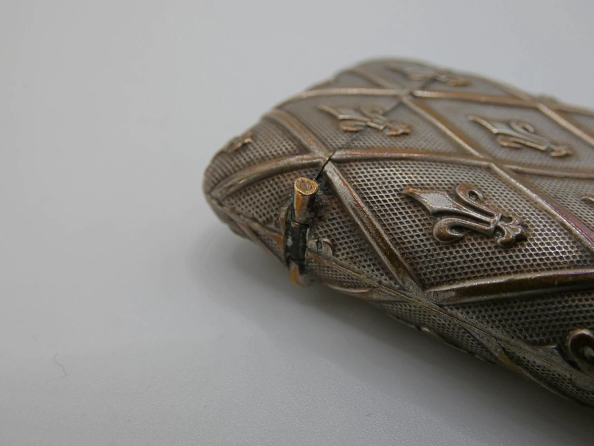 Vesta case met Fleur-de-lis - foto 5