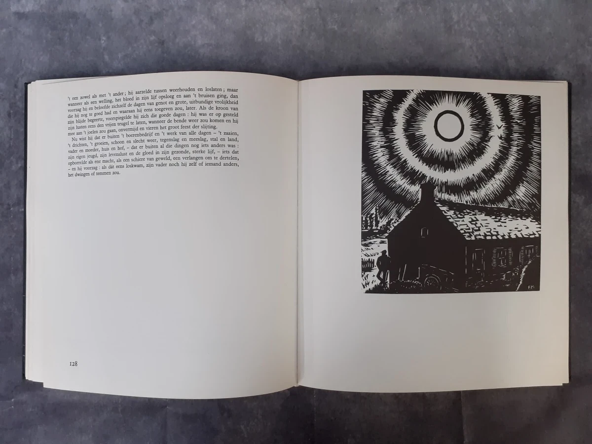 Boek: De Vlaschaard