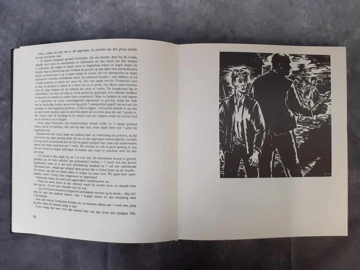 Boek: De Vlaschaard