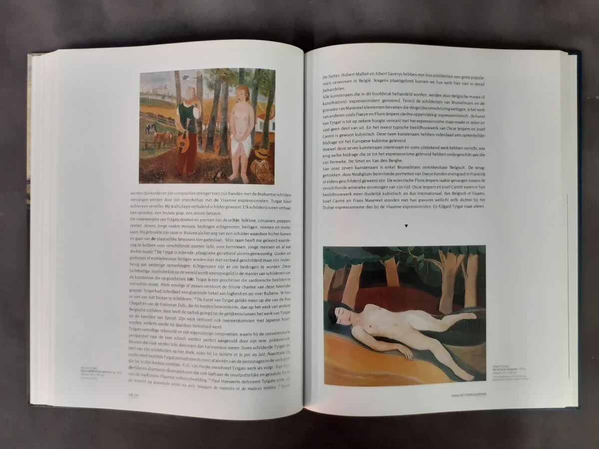 Boek: Belgische kunst 1880‑2000: Van Ensor tot Panamarenko