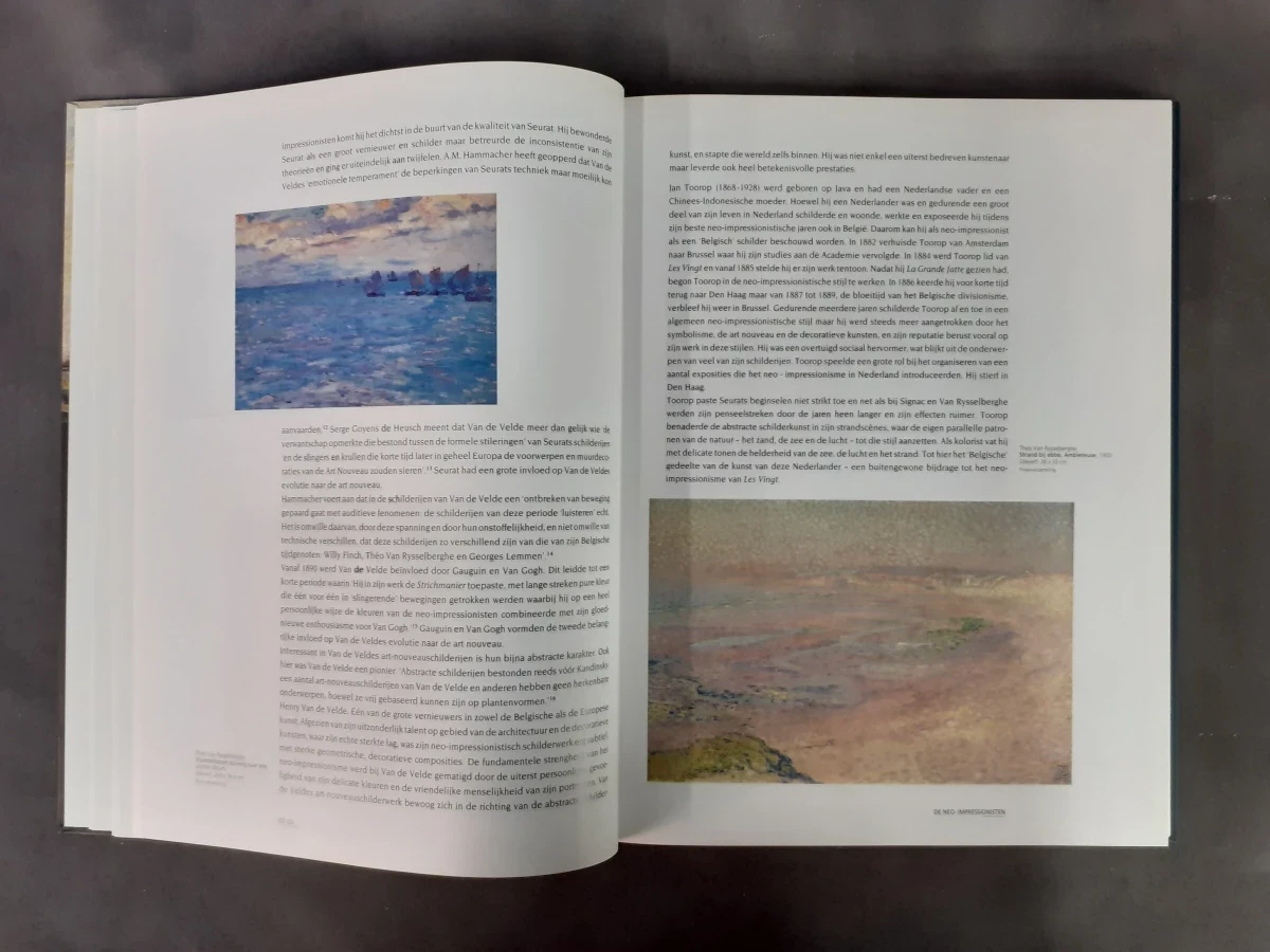 Boek: Belgische kunst 1880‑2000: Van Ensor tot Panamarenko