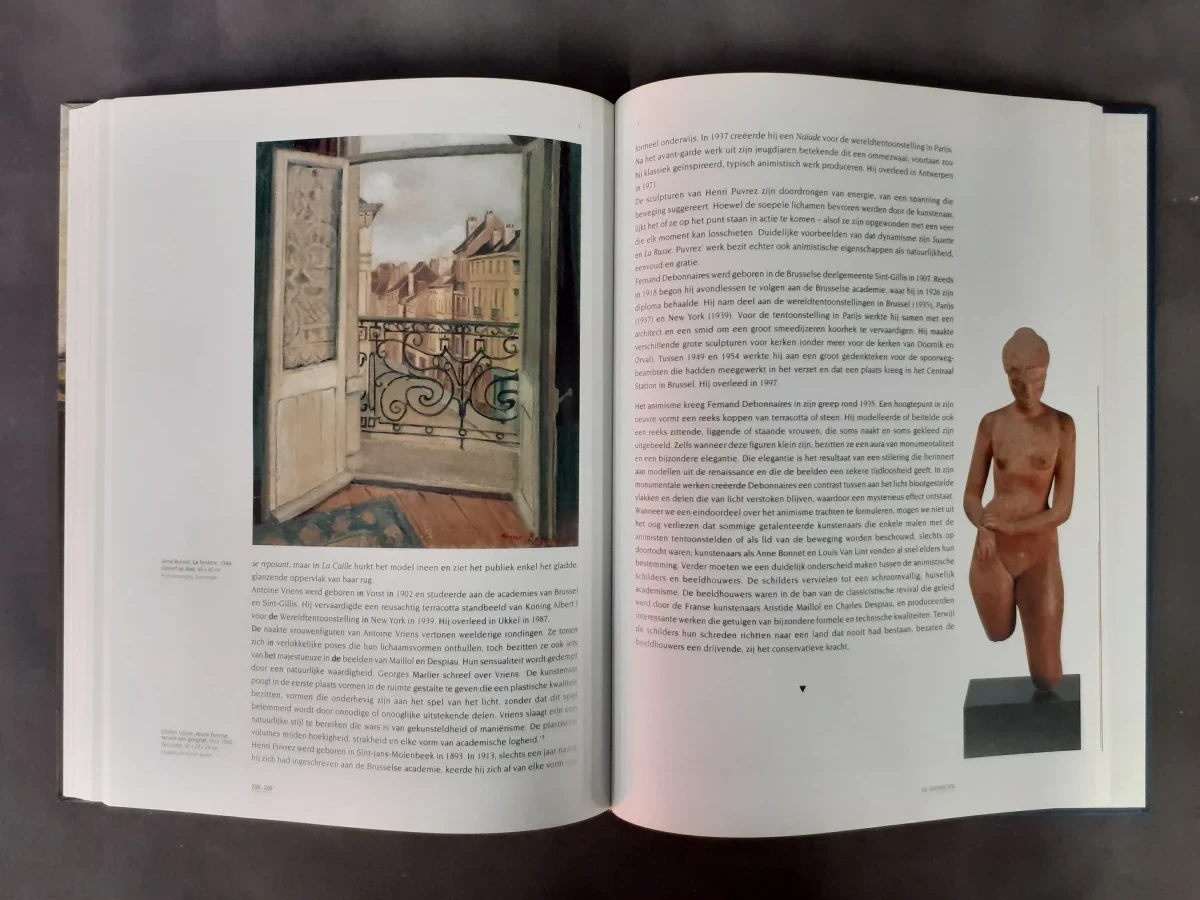 Boek: Belgische kunst 1880‑2000: Van Ensor tot Panamarenko