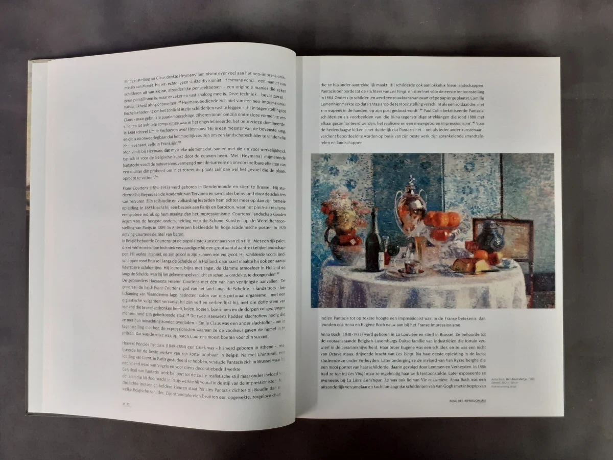 Boek: Belgische kunst 1880‑2000: Van Ensor tot Panamarenko