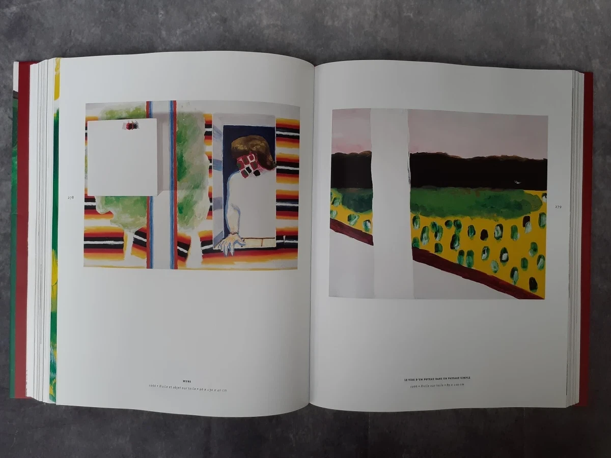 Boek: Roger Raveel et la nouvelle vision