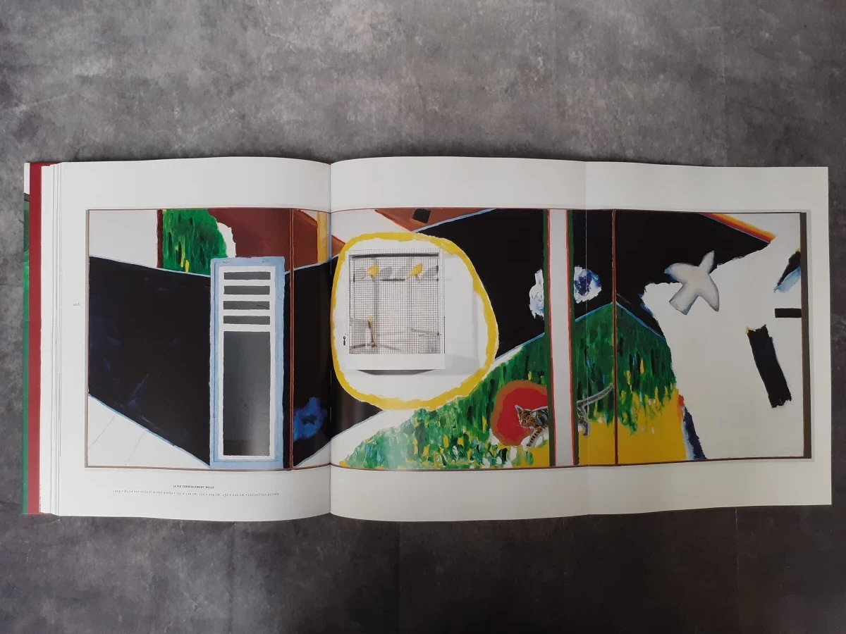 Boek: Roger Raveel et la nouvelle vision