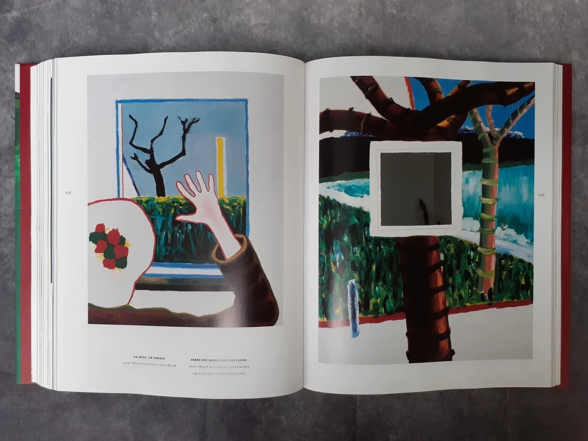 Boek: Roger Raveel et la nouvelle vision