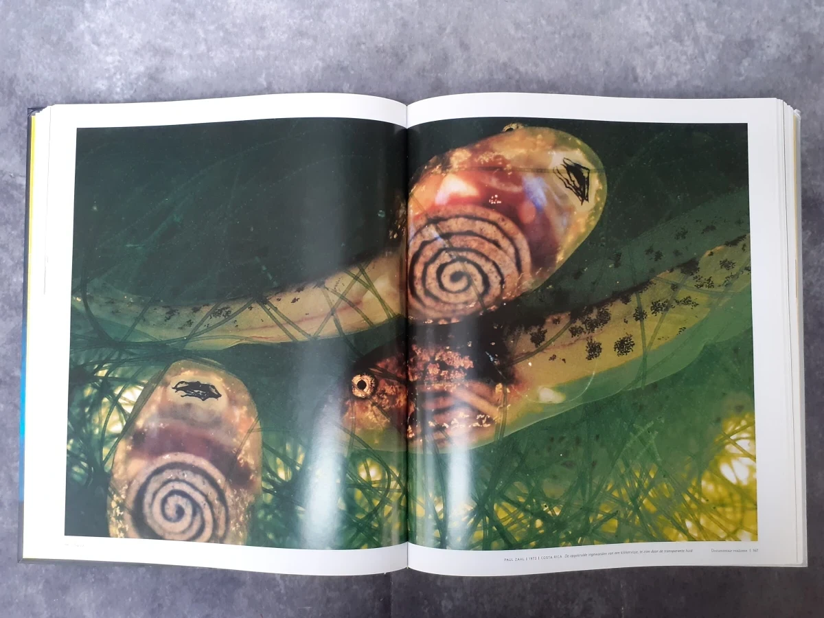 Boek: National Geographic: Image Collection
