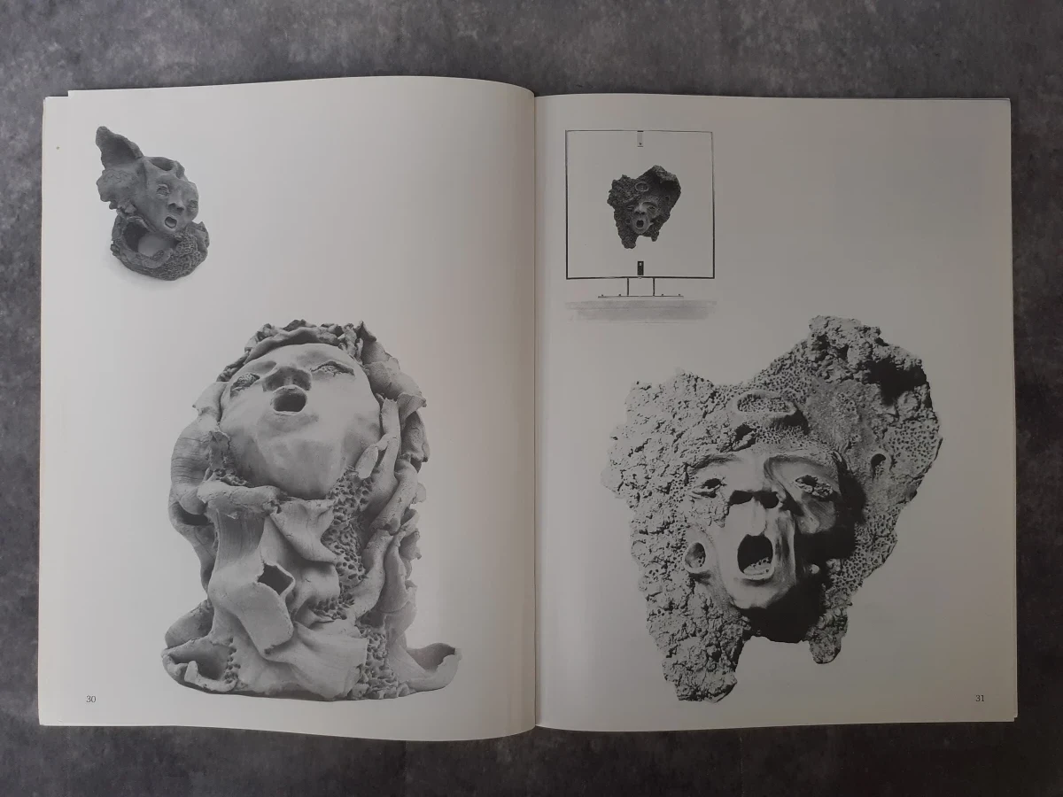 Boek: Rudy Meganck - Ecce Homo