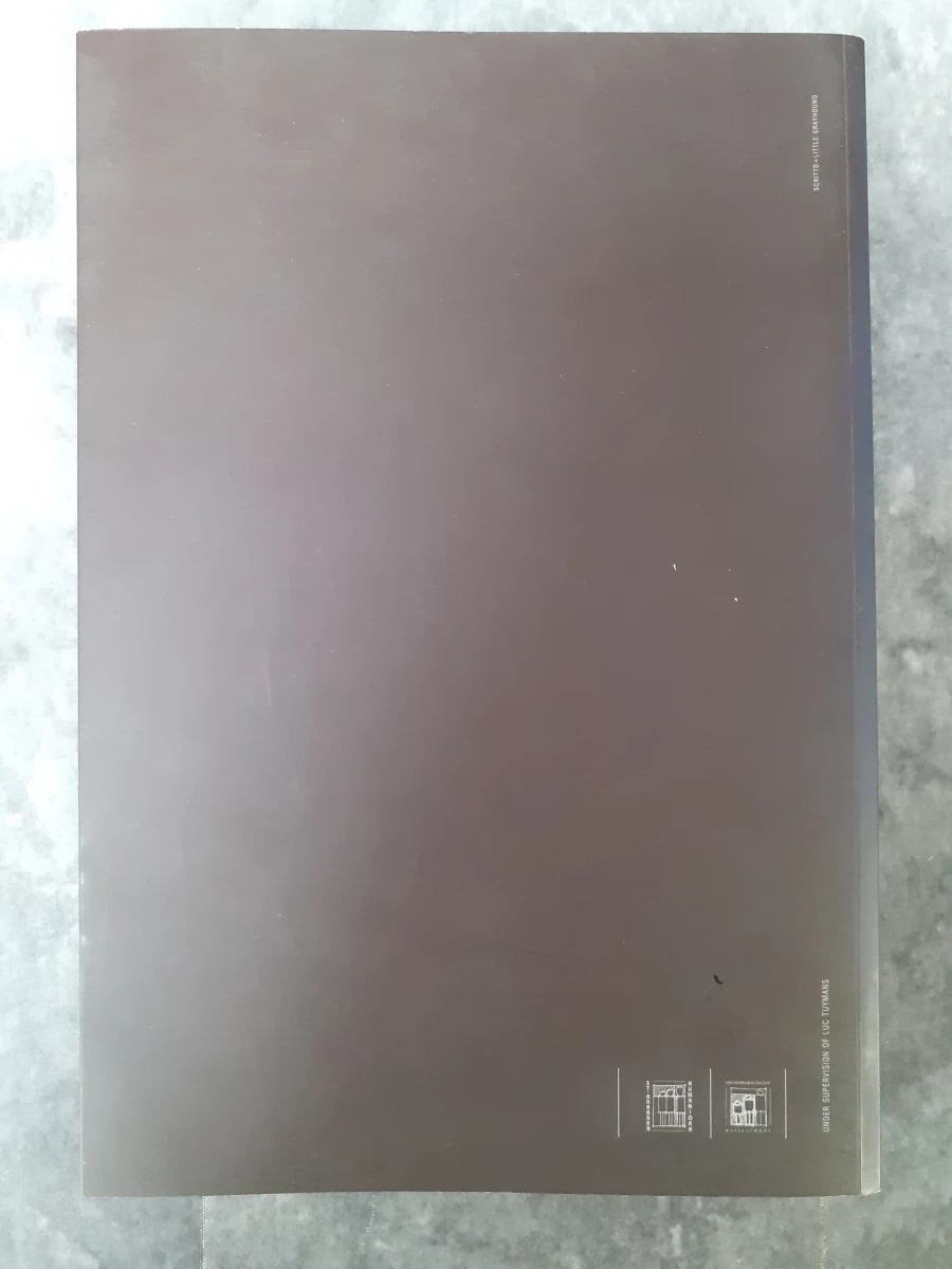 Boek: Luc Tuymans - 341