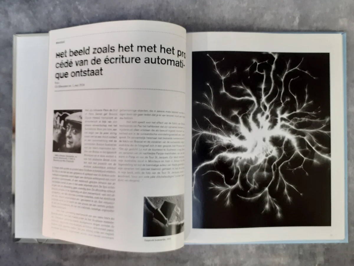 Boek: 20-delige kunstboekenreeks: De Morgen - Kunstcollectie: geschiedenis van de kunst