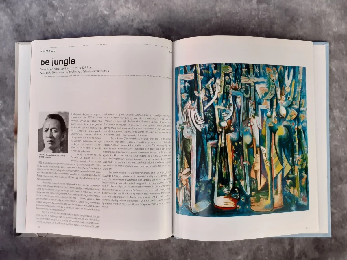 Boek: 20-delige kunstboekenreeks: De Morgen - Kunstcollectie: geschiedenis van de kunst