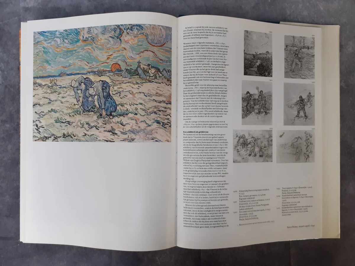 Boek: Duo van kunstboeken over Van Gogh - foto 9