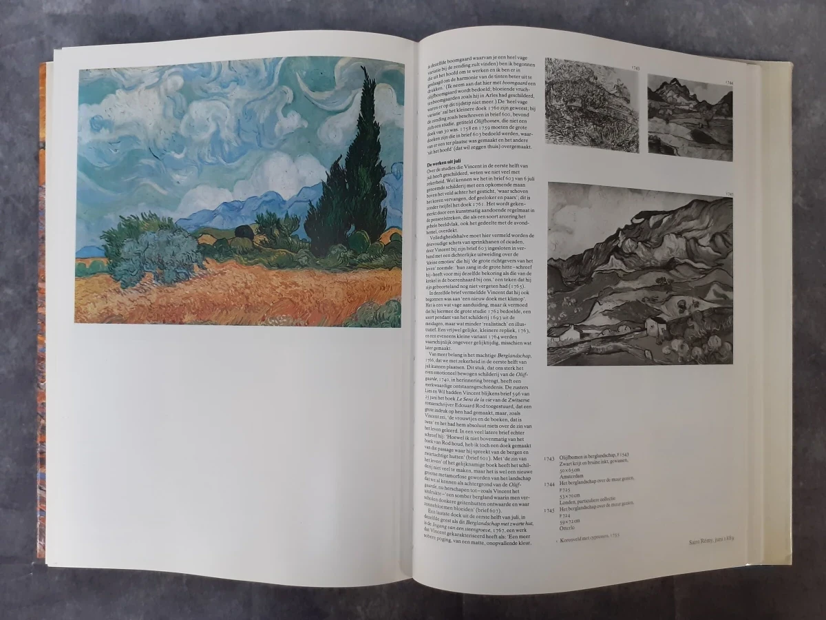 Boek: Duo van kunstboeken over Van Gogh - foto 8