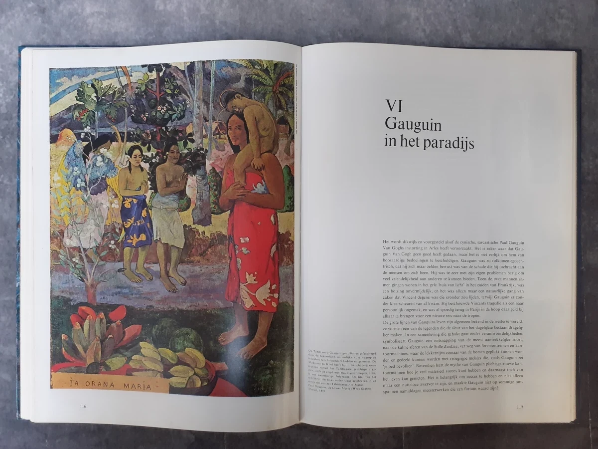 Boek: Duo van kunstboeken over Van Gogh - foto 15