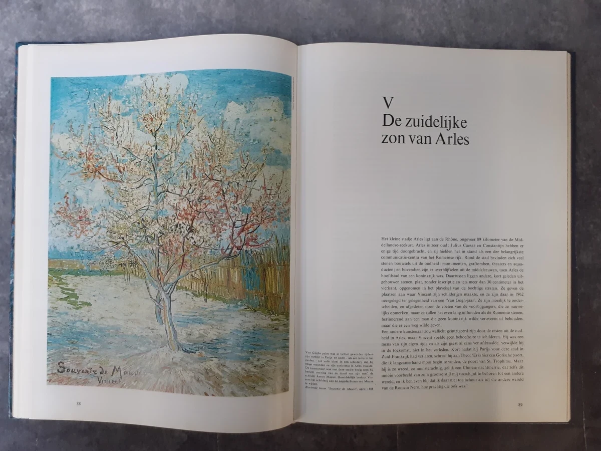 Boek: Duo van kunstboeken over Van Gogh - foto 14