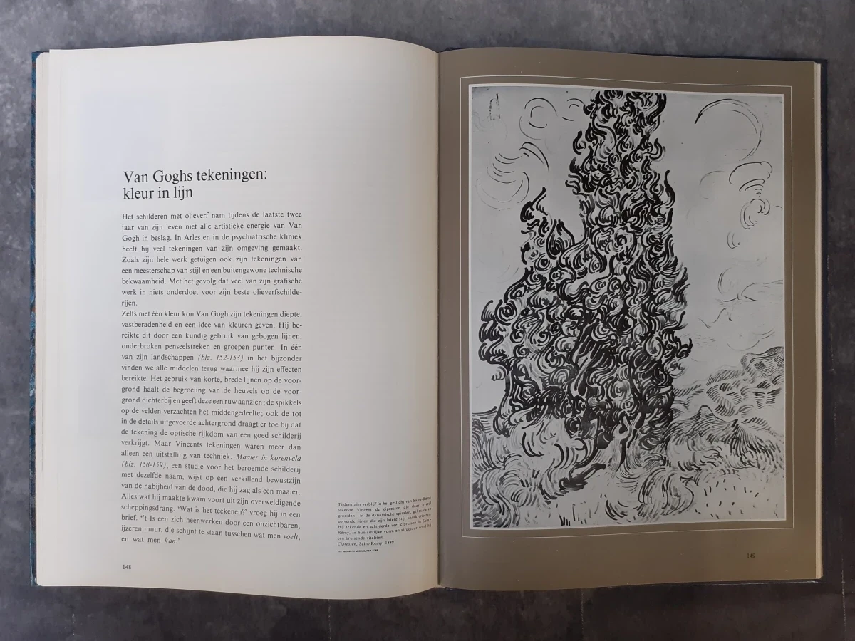 Boek: Duo van kunstboeken over Van Gogh - foto 16