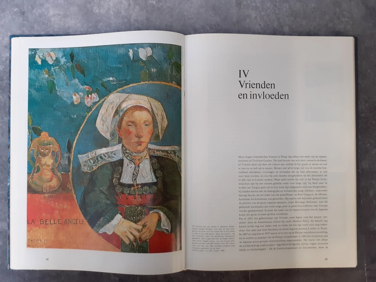 Boek: Duo van kunstboeken over Van Gogh - foto 13