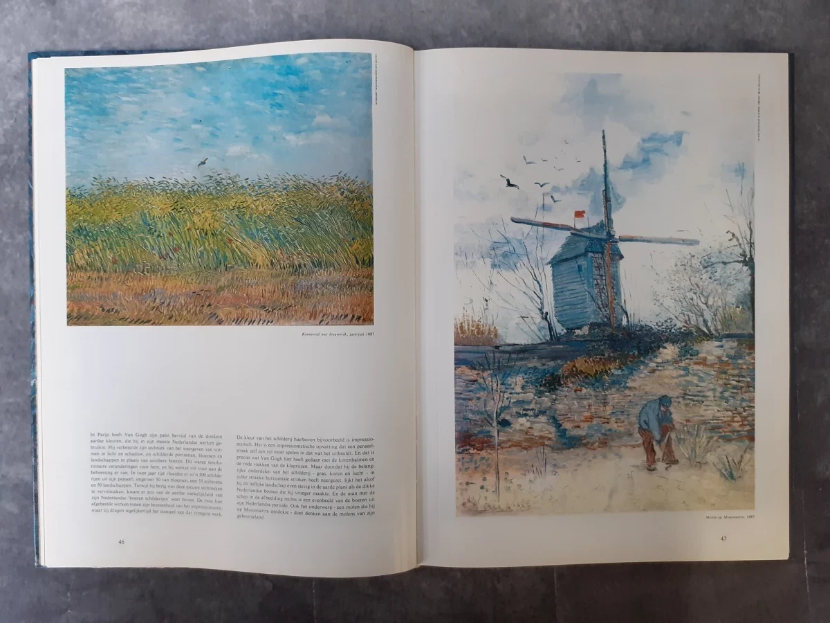 Boek: Duo van kunstboeken over Van Gogh - foto 12