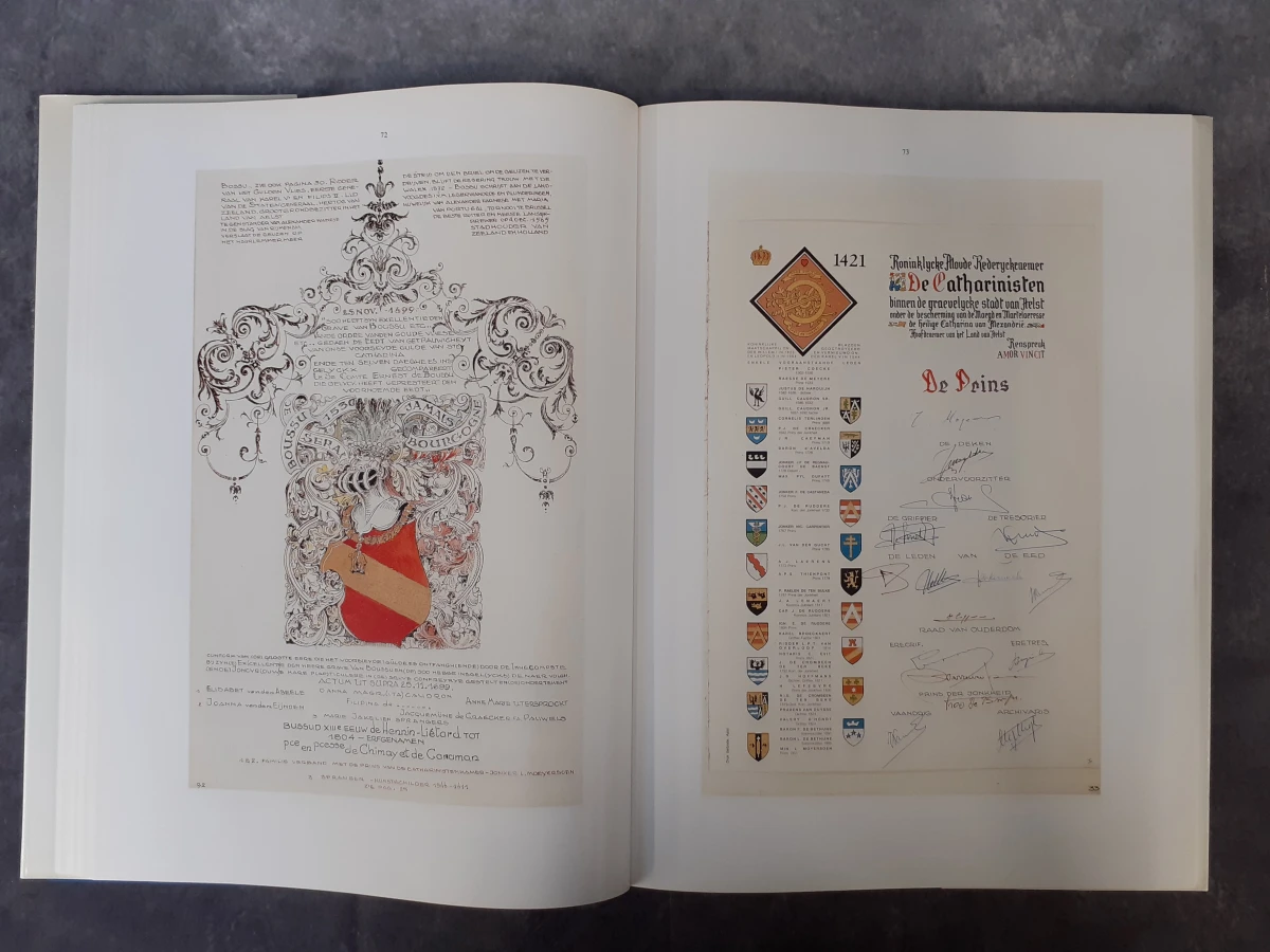 Boek: Aalst en haar souvereine Gûlde