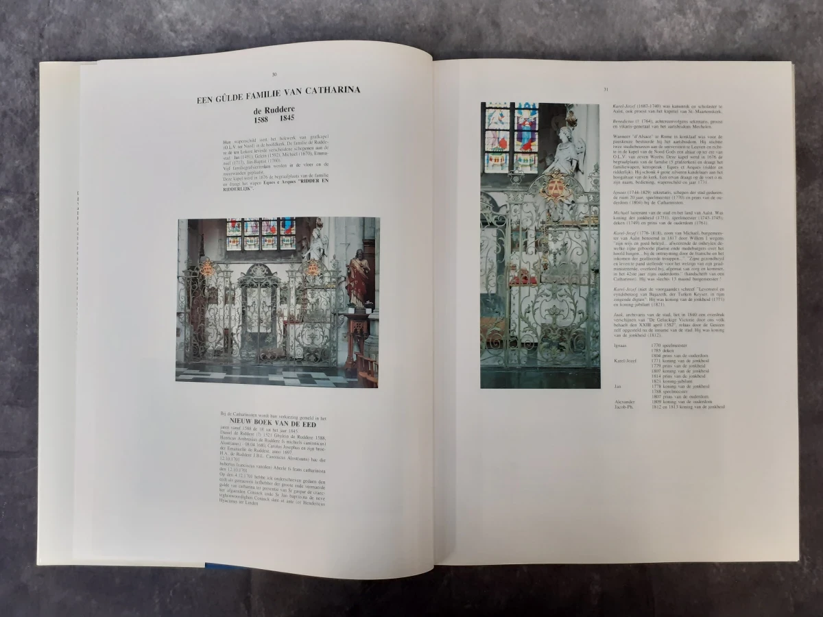 Boek: Aalst en haar souvereine Gûlde