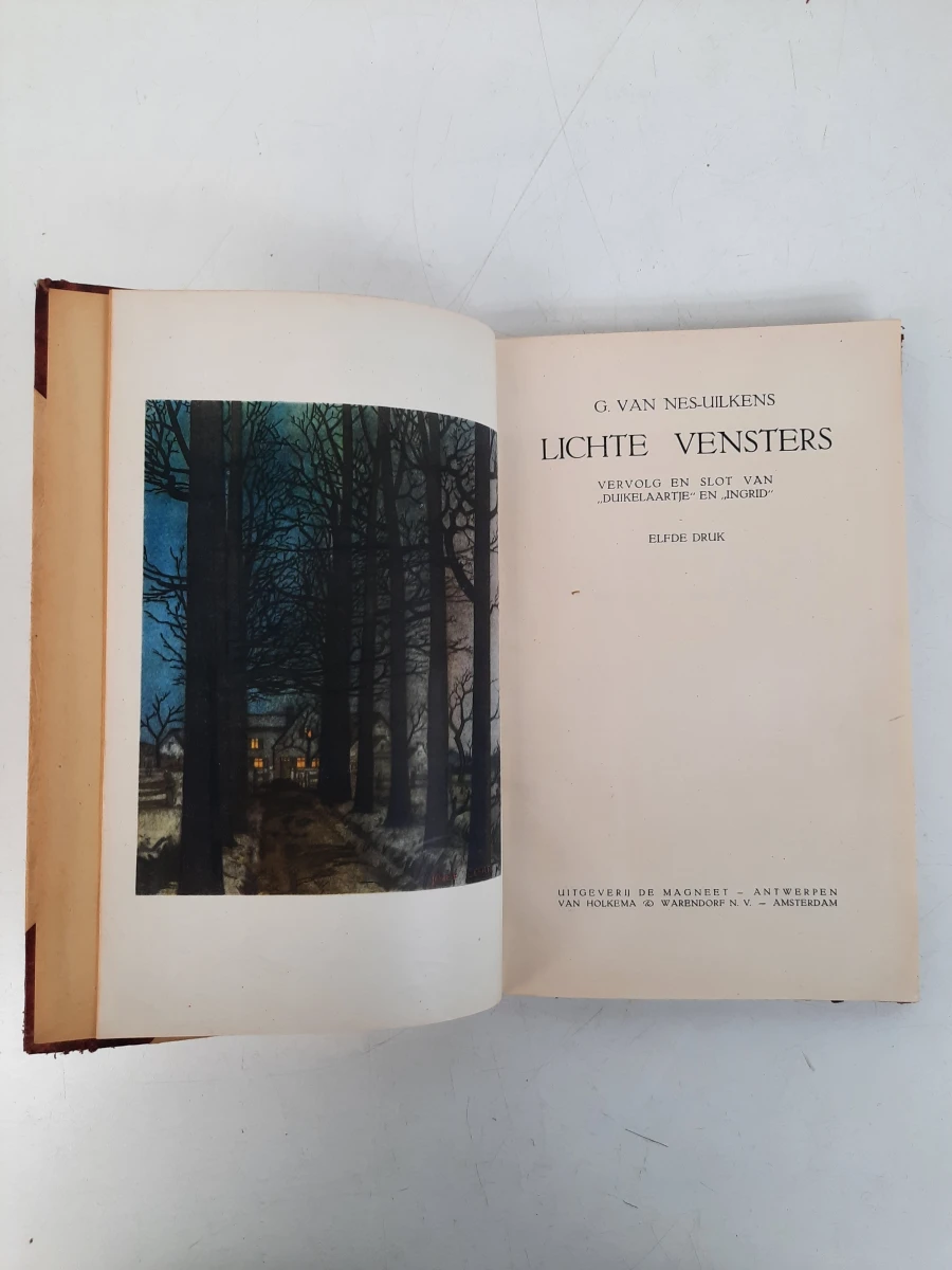 Trilogie boeken Duikelaartje, Ingrid en Lichte Vensters