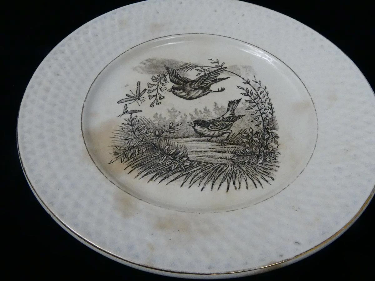 Set van 6 vintage borden met vogelmotief