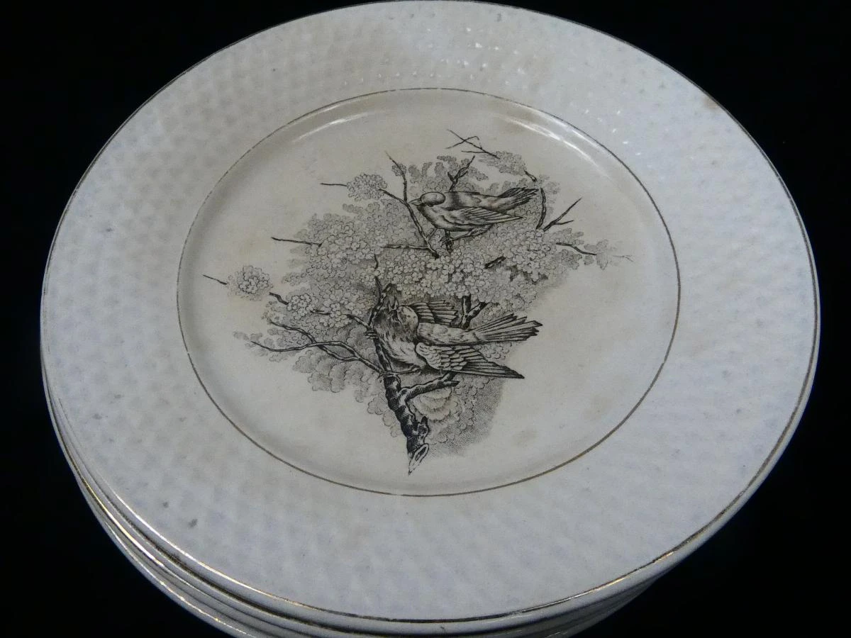 Set van 6 vintage borden met vogelmotief