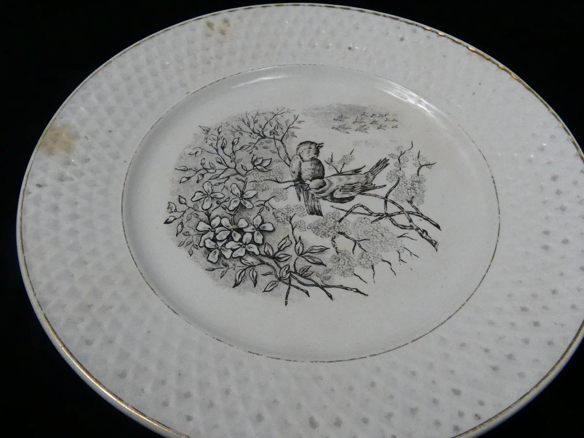 Set van 6 vintage borden met vogelmotief