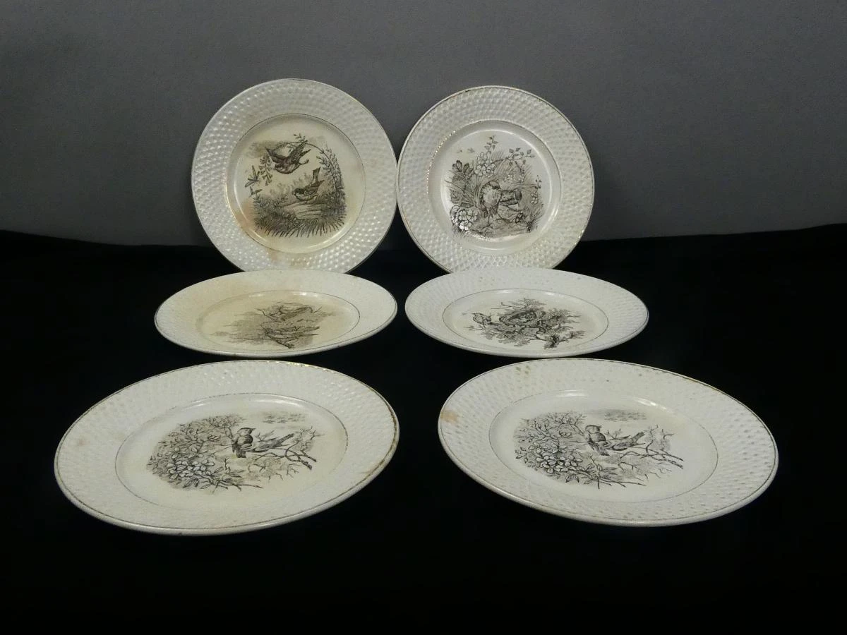 Set van 6 vintage borden met vogelmotief