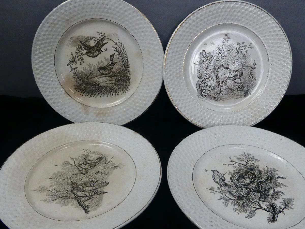 Set van 6 vintage borden met vogelmotief